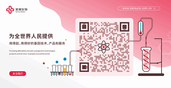 CA88(中国)唯一官方网站入口